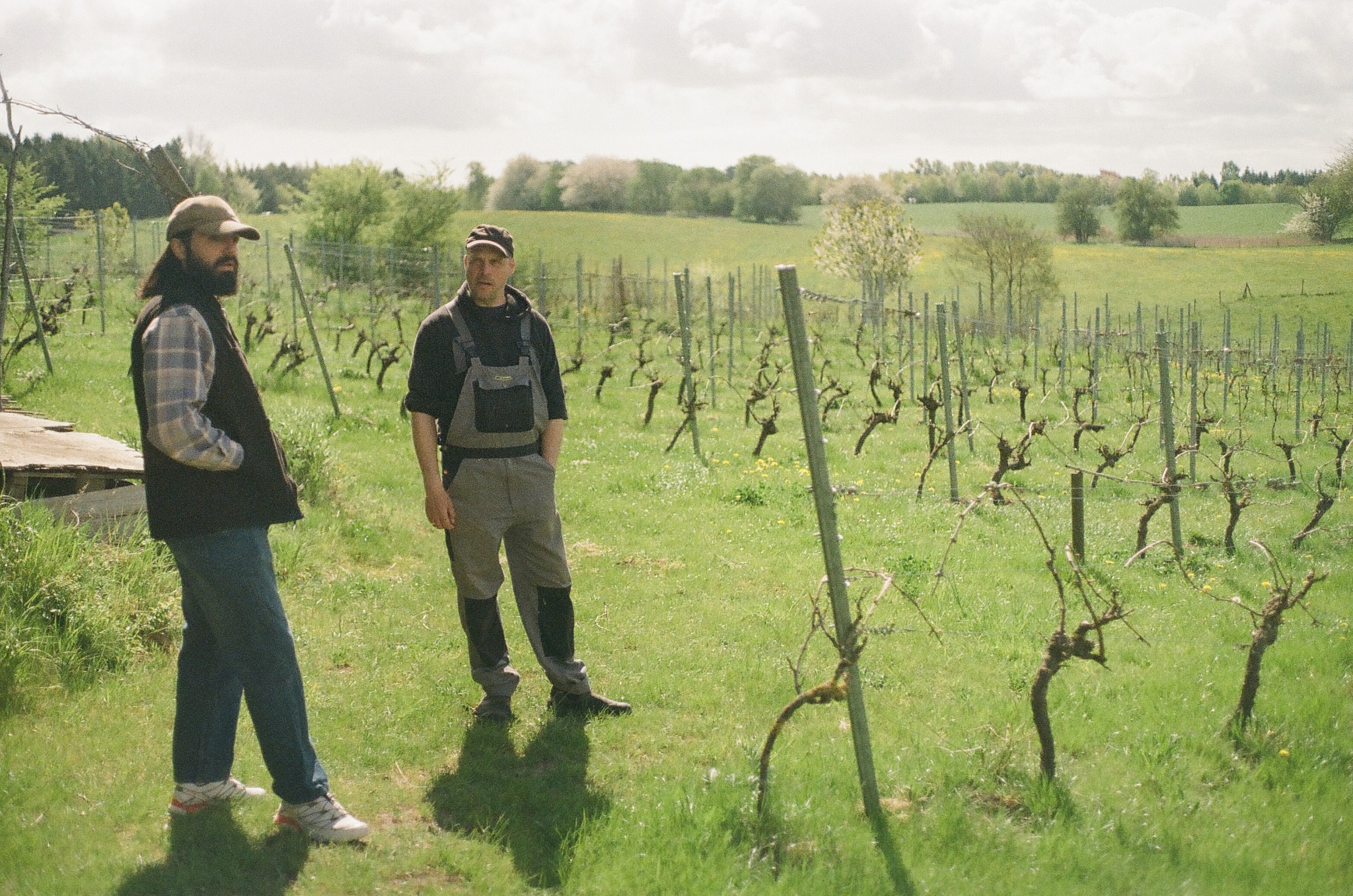 Fabio and Daniel in a vineyard